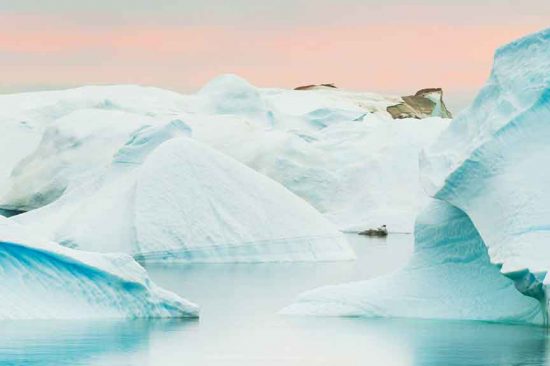 Cours de sciences sur l'arctique à l'UNIVA UCLy
